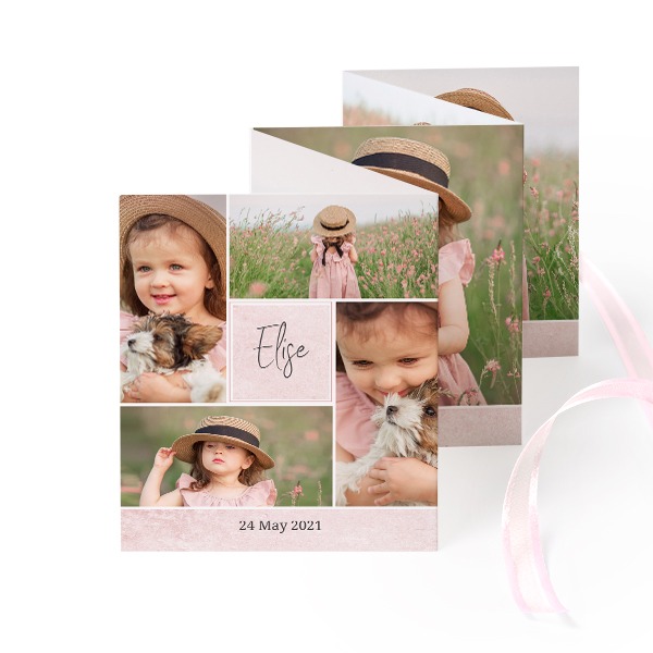 Carte portfolio Portrait (lot de 12) ruban rose (7,1 x 8,8 cm)