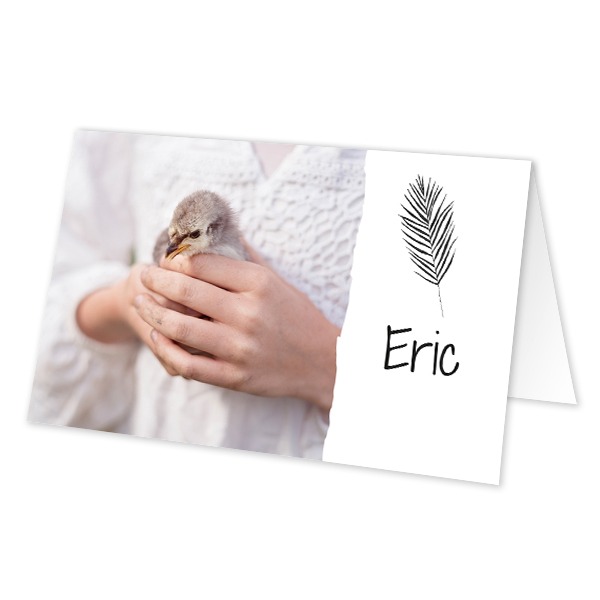 Folded place cards - set of 12 Folded place cards - set of 12