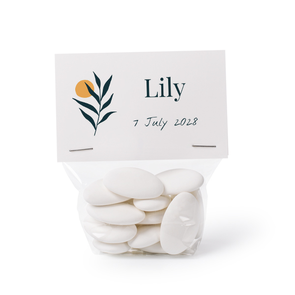 Candy Bags - set of 24 Candy Bags - set of 24