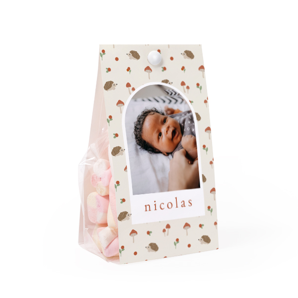 Candy bag with photo-wrapping - set of 24