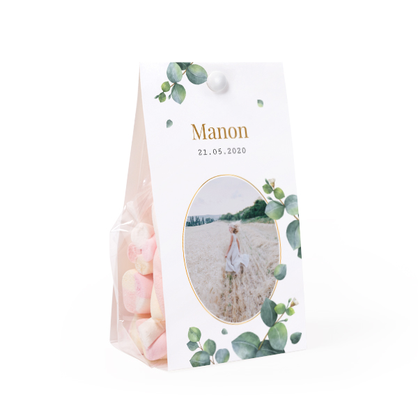 Set Geschenktüten mit Klammern - 24 Stk.