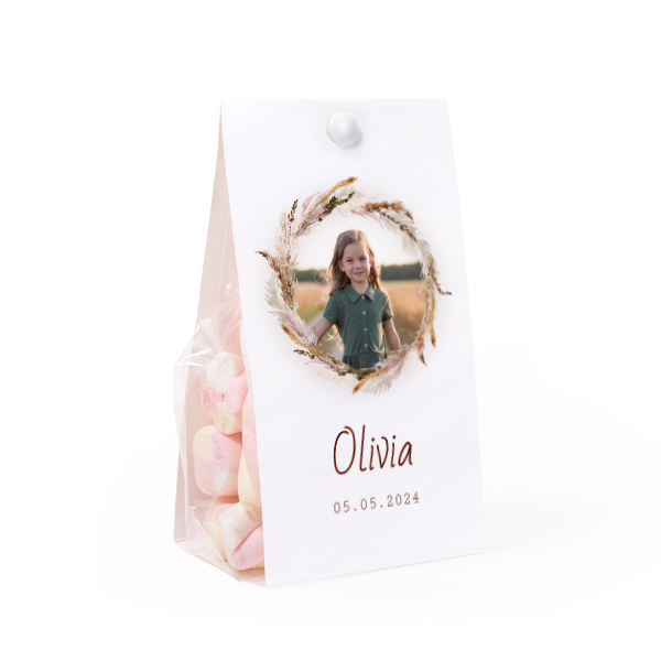 Set Geschenktüten mit Klammern - 24 Stk.