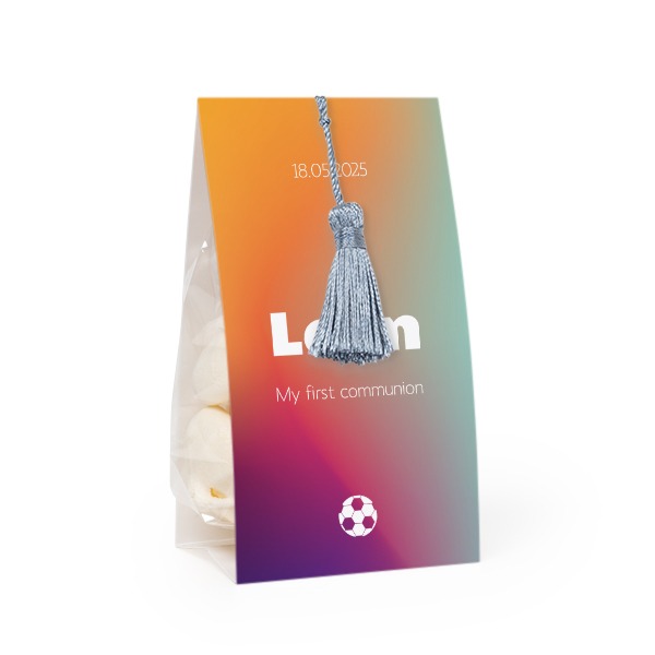 Set Geschenktüten mit silberblaufarbener Quaste - 24 Stk.