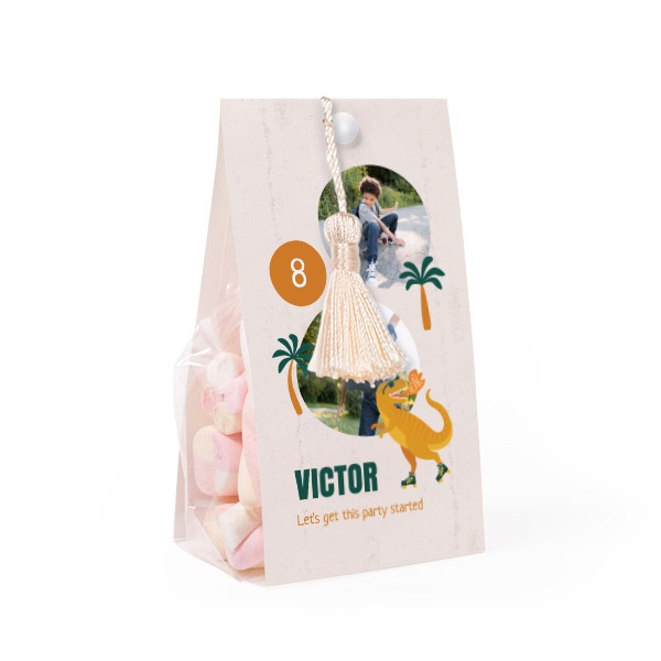 Candy bag with photo-wrapping and vanilla tassel - set of 24