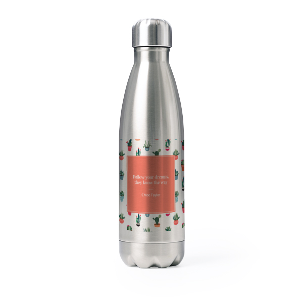 Drink Bottle stainless steel Grey