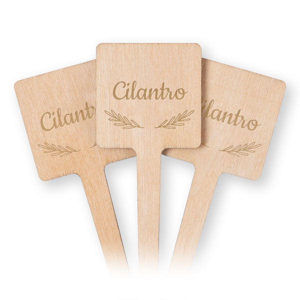 Engraved Wooden Plant Labels - Set of 12