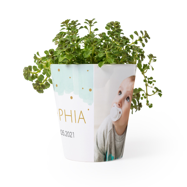 Flower Pot Flower Pot