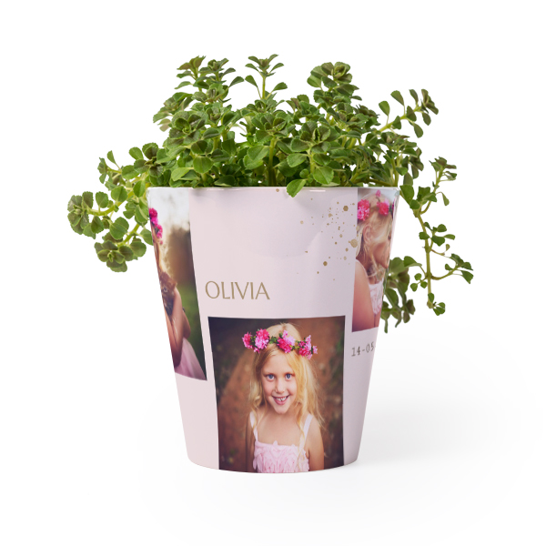 Blumentopf Blumentopf
