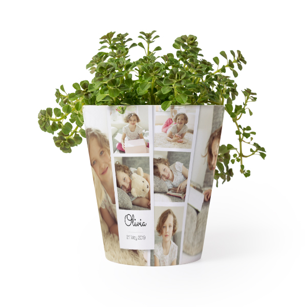Bloempot Bloempot