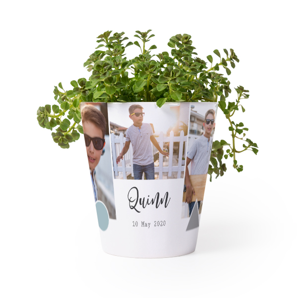 Flower Pot Flower Pot