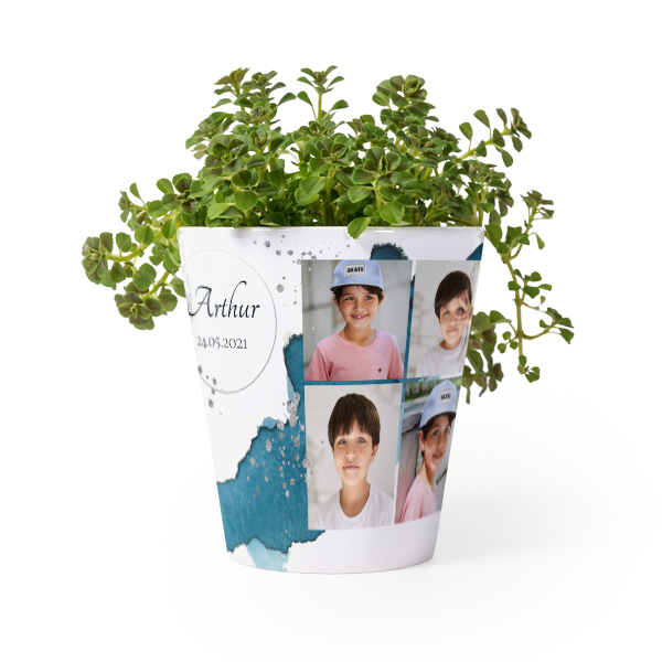 Bloempot Bloempot