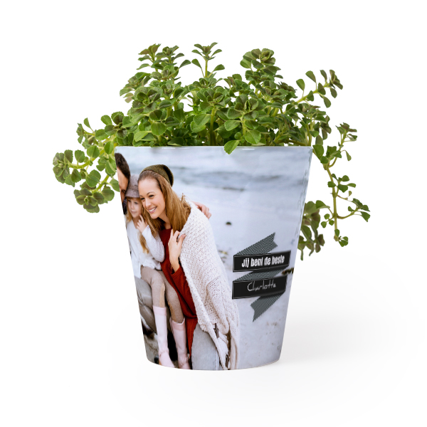 Bloempot