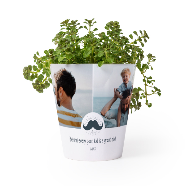 Flower Pot