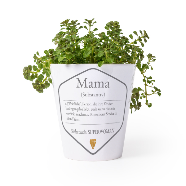 Flower Pot Flower Pot