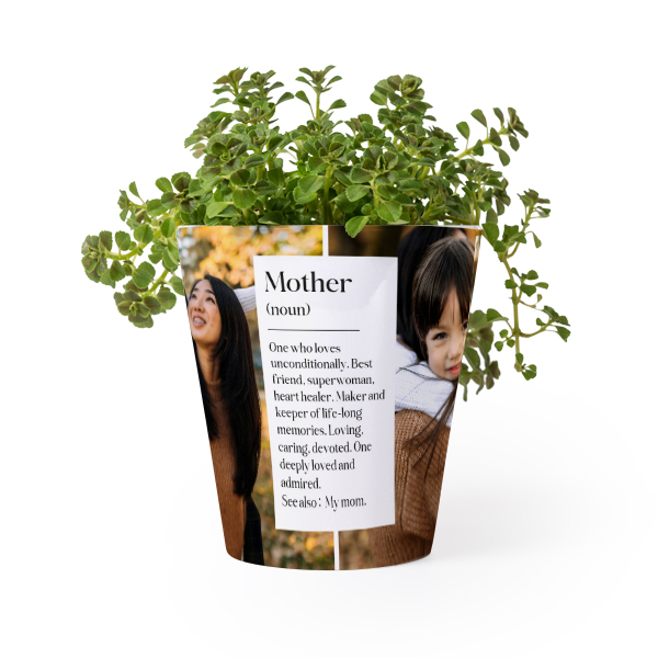 Bloempot Bloempot