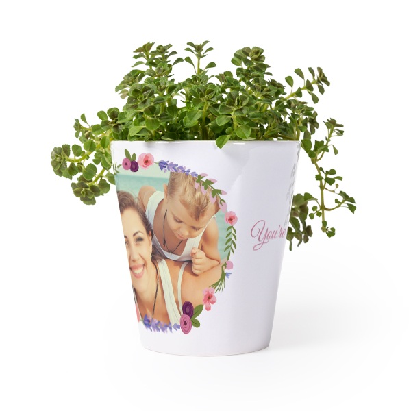 Flower Pot Flower Pot
