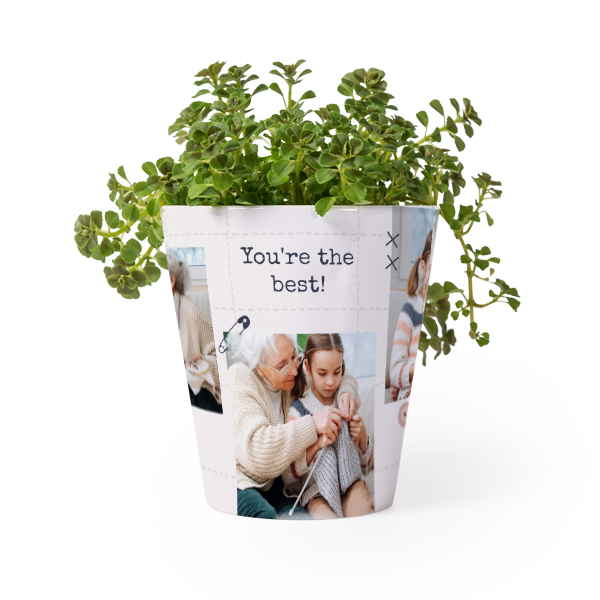 Flower Pot Flower Pot
