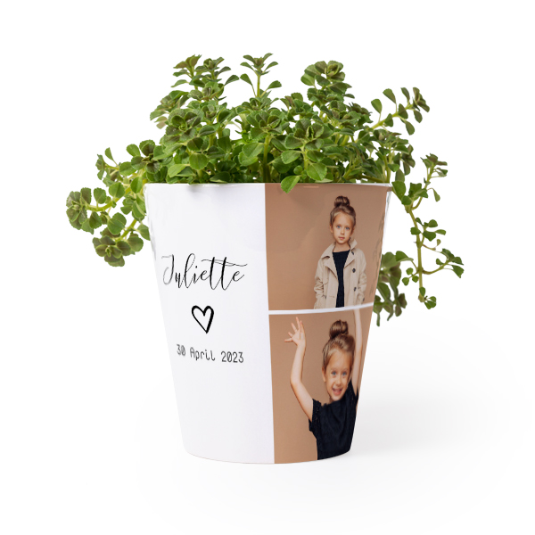 Bloempot Bloempot