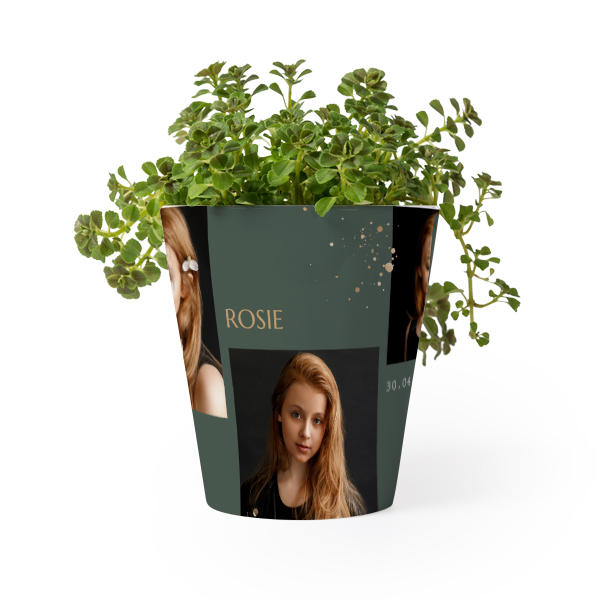 Blomsterkrukke Blomsterkrukke
