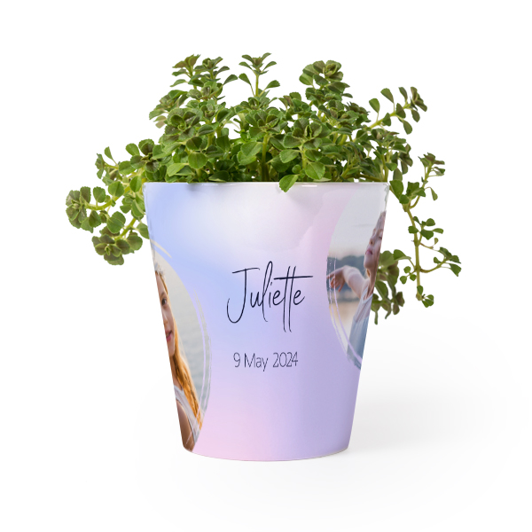 Bloempot Bloempot