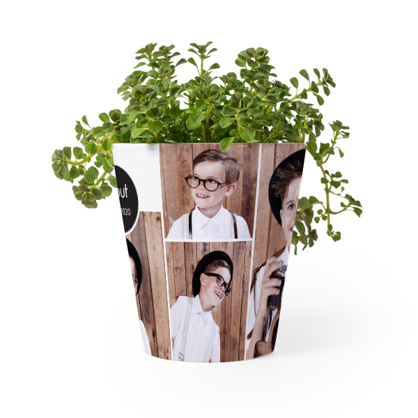 Blomkruka Blomkruka