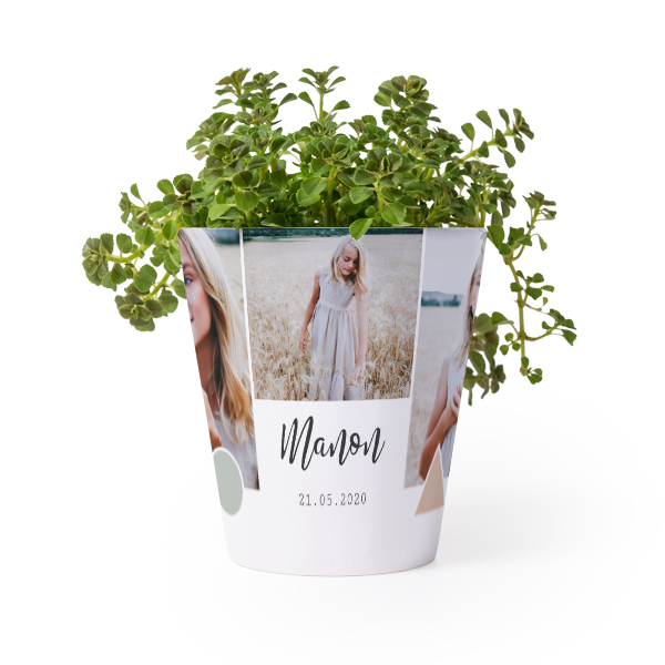 Bloempot