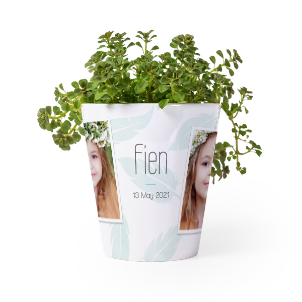 Bloempot Bloempot