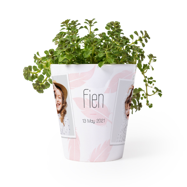 Bloempot