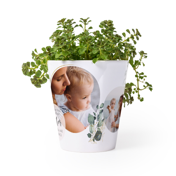 Flower Pot Flower Pot