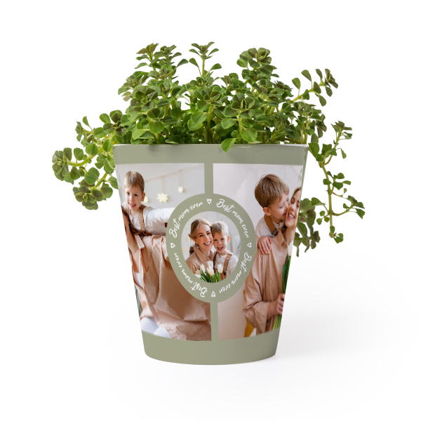 Bloempot Bloempot