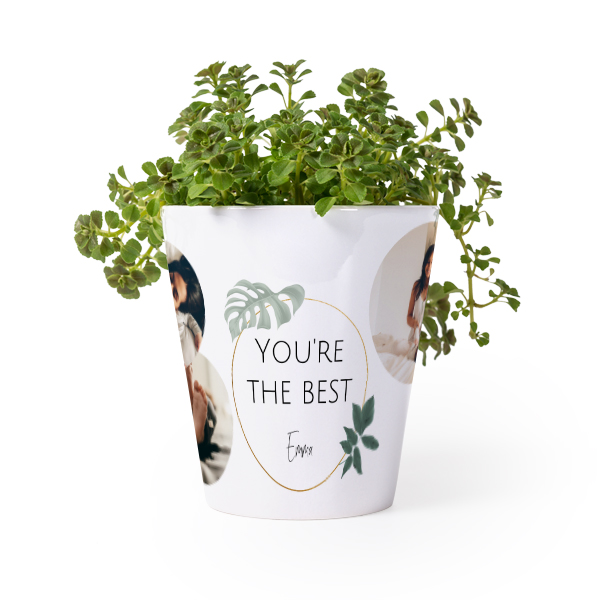 Bloempot Bloempot