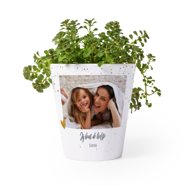 Bloempot Bloempot