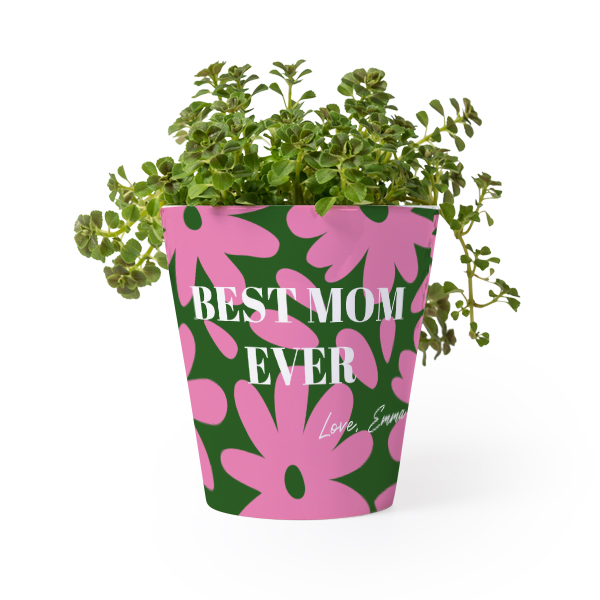 Blumentopf Blumentopf