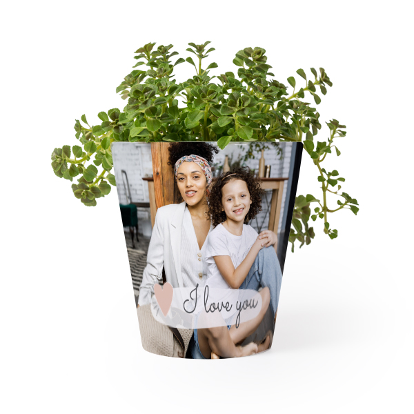 Bloempot Bloempot