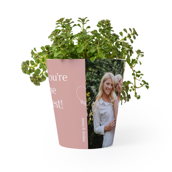 Blomsterkrukke Blomsterkrukke