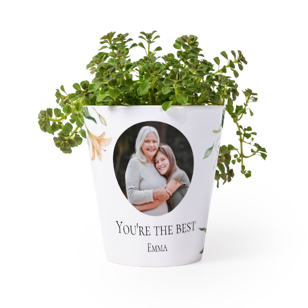 Bloempot Bloempot
