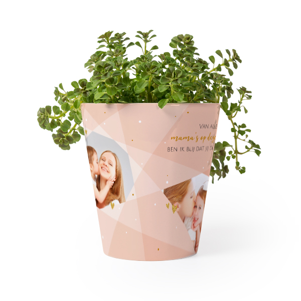 Bloempot Bloempot