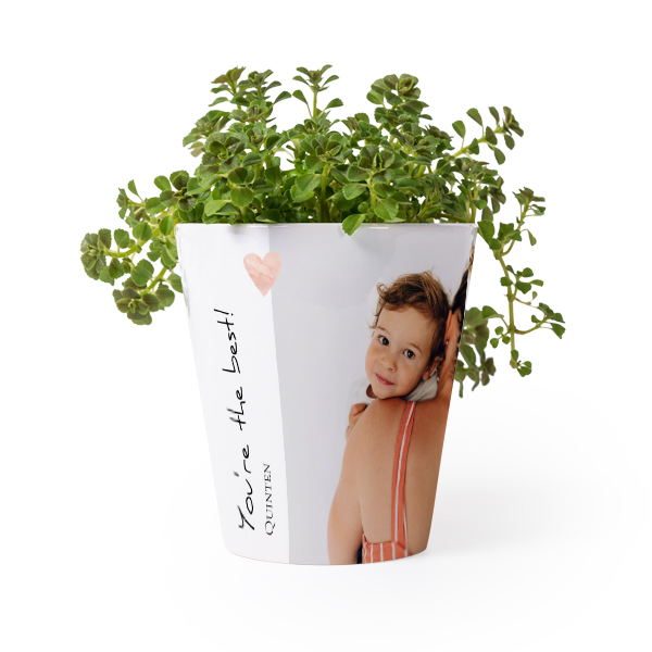 Pot de fleurs
