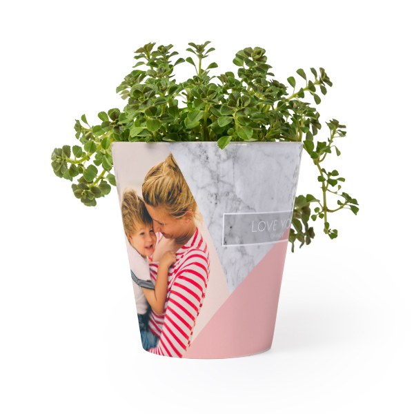 Flower Pot