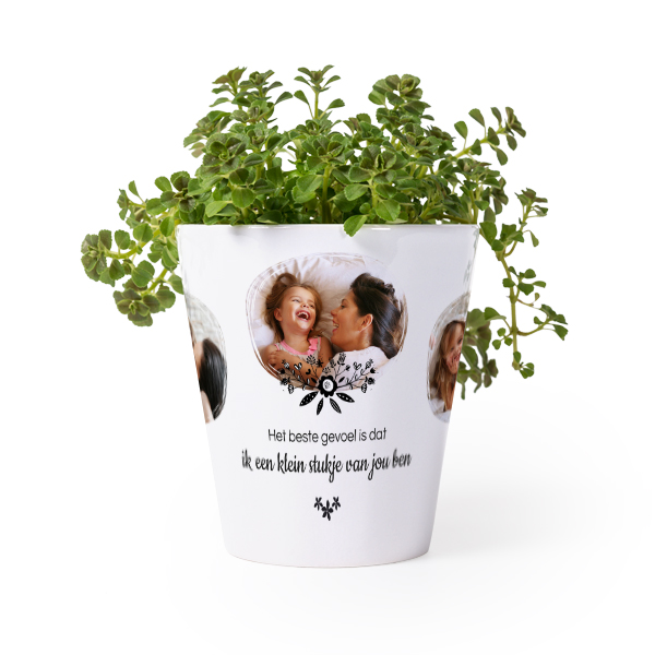 Bloempot Bloempot