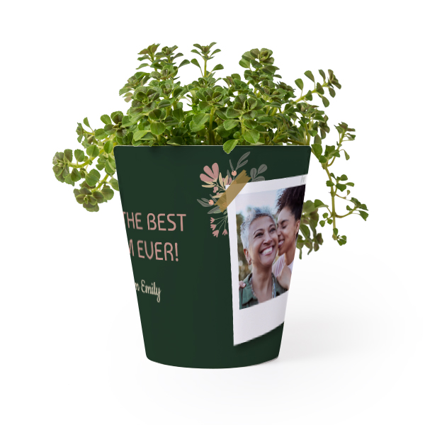 Bloempot Bloempot