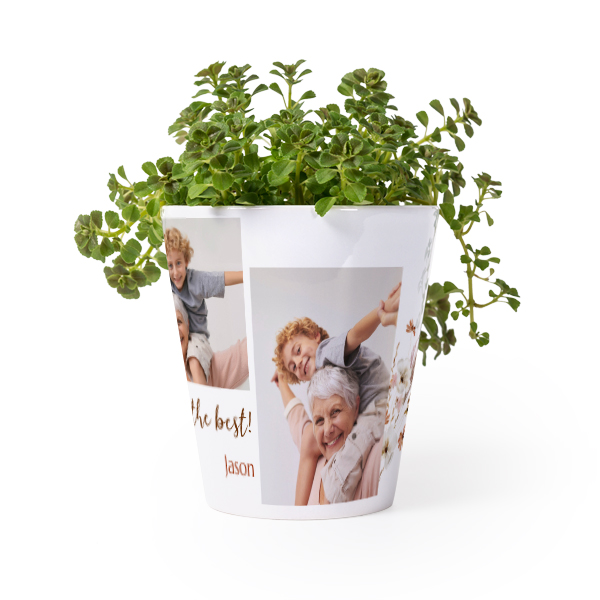 Bloempot Bloempot