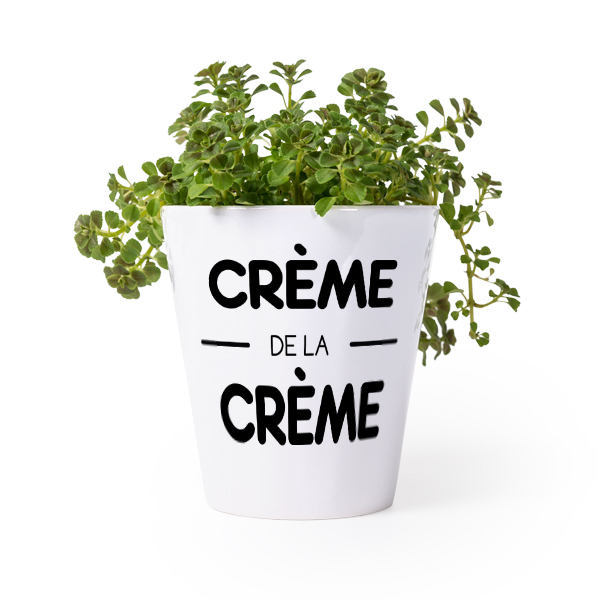 Flower Pot Flower Pot