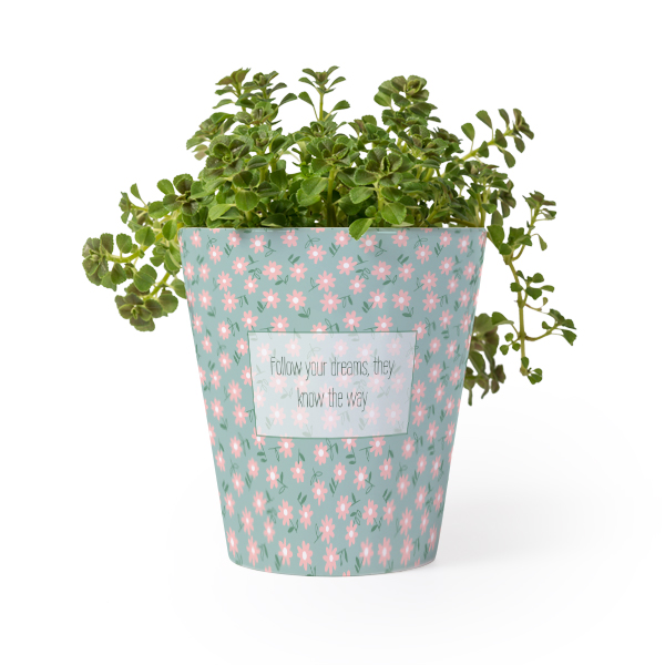 Flower Pot Flower Pot