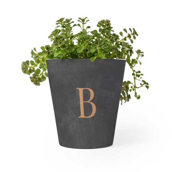Blumentopf Blumentopf
