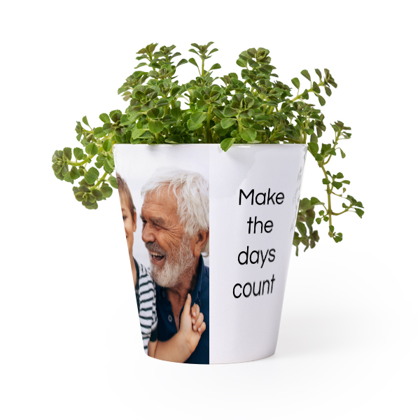 Flower Pot Flower Pot