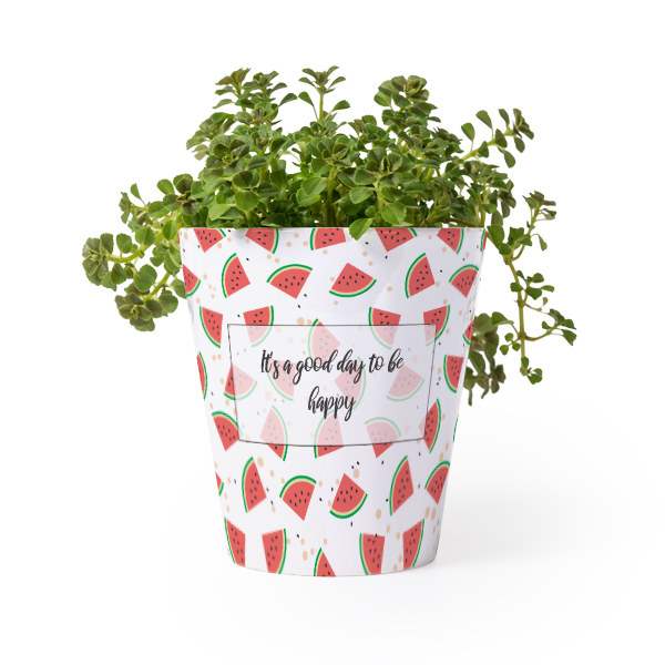 Flower Pot