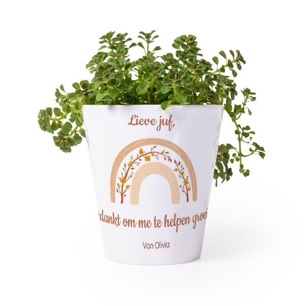 Bloempot