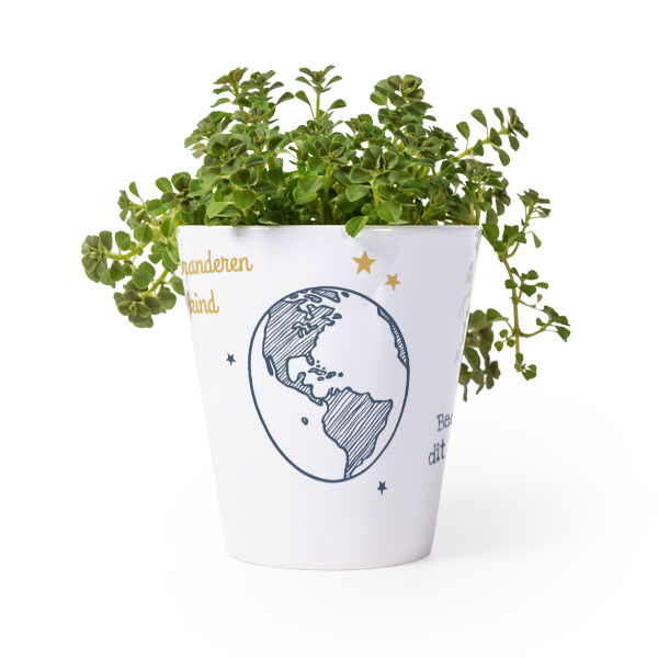 Bloempot