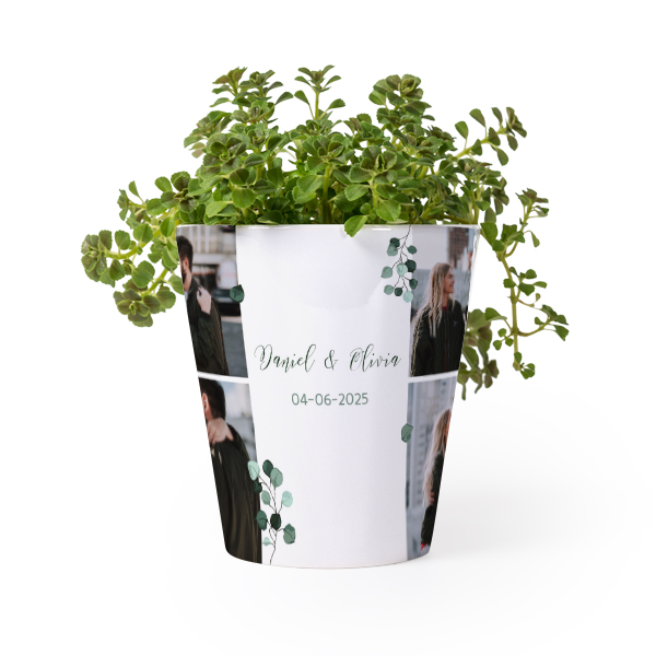Bloempot Bloempot